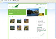 Green Eagle Website Design