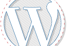 wordpress_development