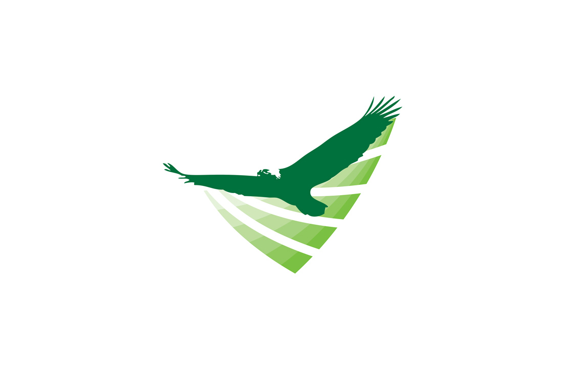 Green Eagle: Brand + Website Launch
