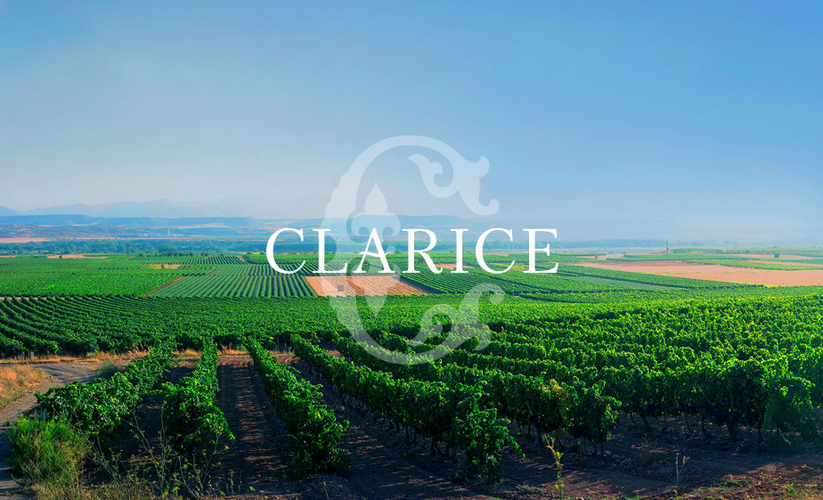 Clarice Wine Company: Website Launch