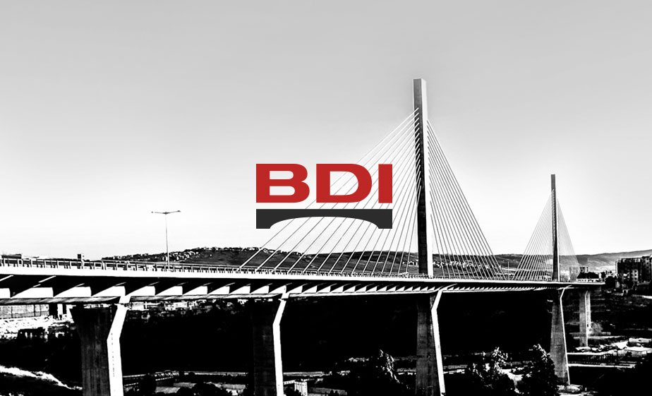 BDI: Redesign Launch
