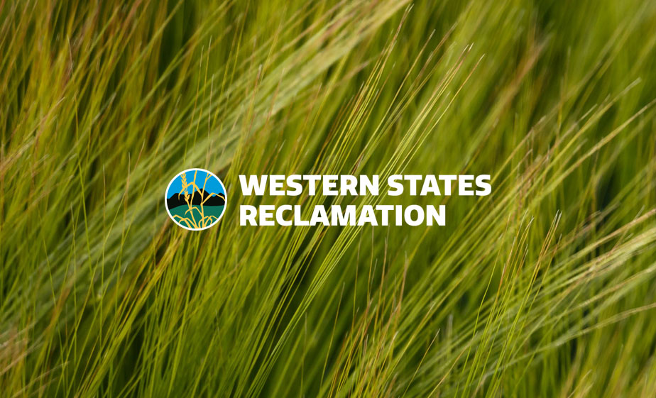 Western States Reclamation: Redesign Launch